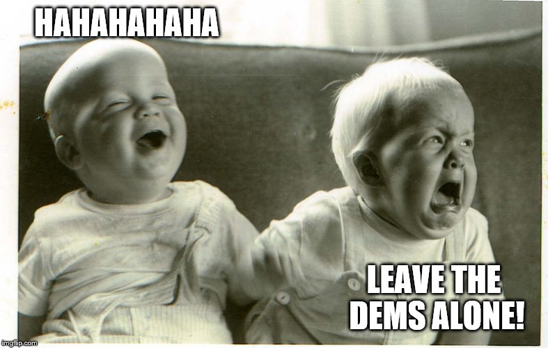  baby laughing baby crying | HAHAHAHAHA LEAVE THE DEMS ALONE! | image tagged in baby laughing baby crying | made w/ Imgflip meme maker