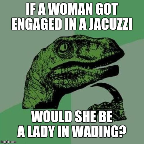I Duzzi | IF A WOMAN GOT ENGAGED IN A JACUZZI; WOULD SHE BE A LADY IN WADING? | image tagged in raptor,engagement,jacuzzi | made w/ Imgflip meme maker