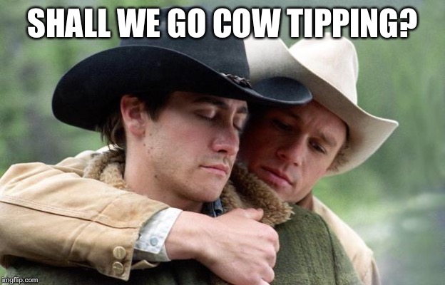 Brokeback Mountain | SHALL WE GO COW TIPPING? | image tagged in brokeback mountain | made w/ Imgflip meme maker