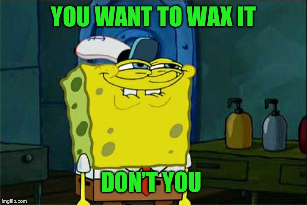 Don't You Squidward Meme | YOU WANT TO WAX IT DON’T YOU | image tagged in memes,dont you squidward | made w/ Imgflip meme maker