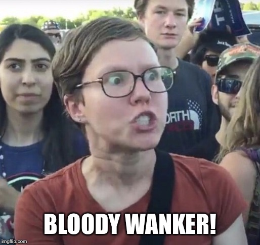Triggered feminist | BLOODY WANKER! | image tagged in triggered feminist | made w/ Imgflip meme maker