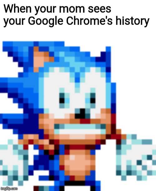 Frosted Sonic | When your mom sees your Google Chrome's history | image tagged in frosted sonic,memes | made w/ Imgflip meme maker