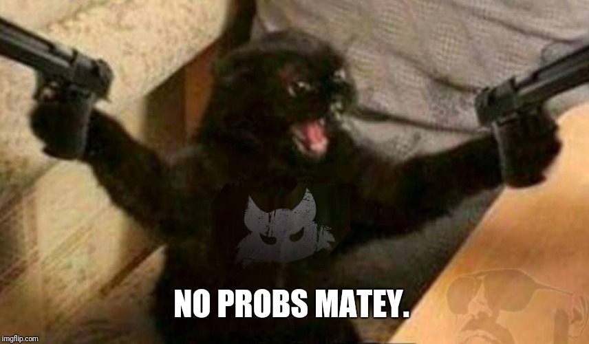 Cat With Guns | NO PROBS MATEY. | image tagged in cat with guns | made w/ Imgflip meme maker