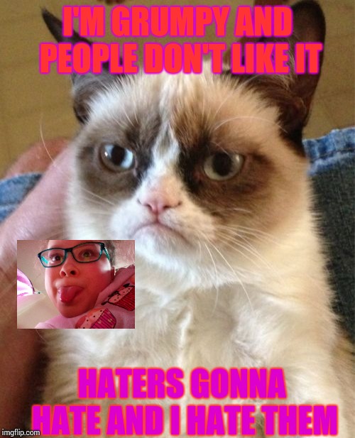 Grumpy Cat | I'M GRUMPY AND PEOPLE DON'T LIKE IT; HATERS GONNA HATE AND I HATE THEM | image tagged in memes,grumpy cat | made w/ Imgflip meme maker