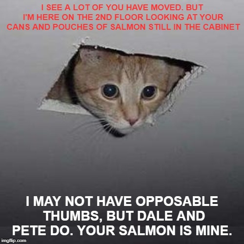 Ceiling Cat Meme | I SEE A LOT OF YOU HAVE MOVED. BUT I'M HERE ON THE 2ND FLOOR LOOKING AT YOUR CANS AND POUCHES OF SALMON STILL IN THE CABINET; I MAY NOT HAVE OPPOSABLE THUMBS, BUT DALE AND PETE DO. YOUR SALMON IS MINE. | image tagged in memes,ceiling cat | made w/ Imgflip meme maker