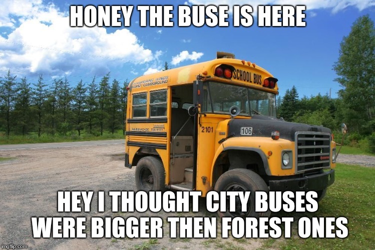 small buse | HONEY THE BUSE IS HERE; HEY I THOUGHT CITY BUSES WERE BIGGER THEN FOREST ONES | image tagged in dank memes | made w/ Imgflip meme maker