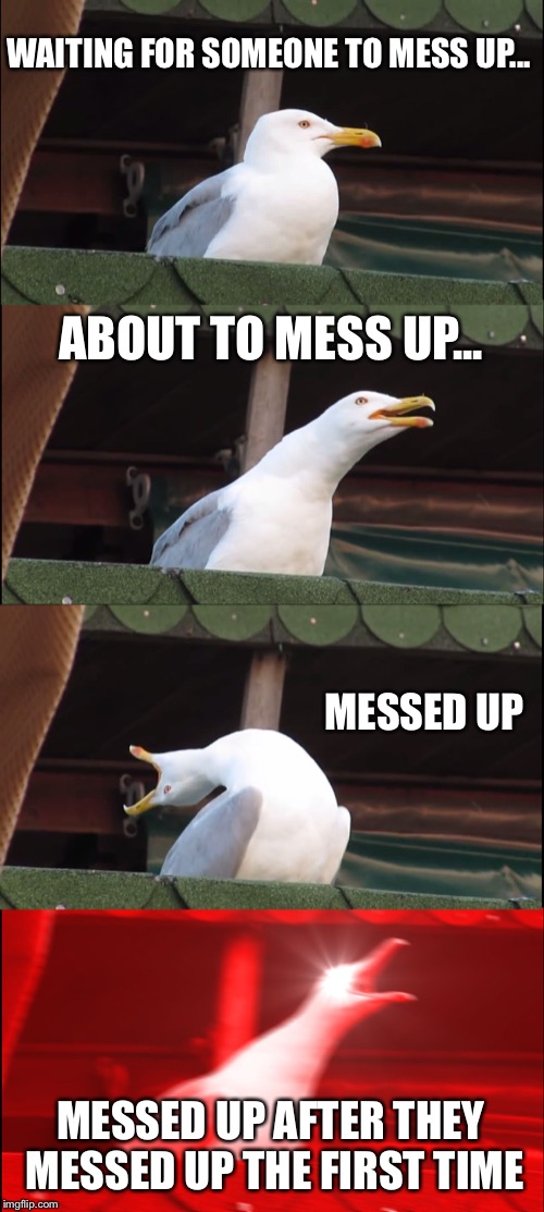 Inhaling Seagull | WAITING FOR SOMEONE TO MESS UP... ABOUT TO MESS UP... MESSED UP; MESSED UP AFTER THEY MESSED UP THE FIRST TIME | image tagged in memes,inhaling seagull | made w/ Imgflip meme maker