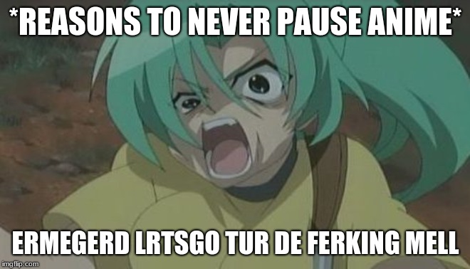 NEVER pause an anime | *REASONS TO NEVER PAUSE ANIME*; ERMEGERD LRTSGO TUR DE FERKING MELL | image tagged in never pause an anime | made w/ Imgflip meme maker