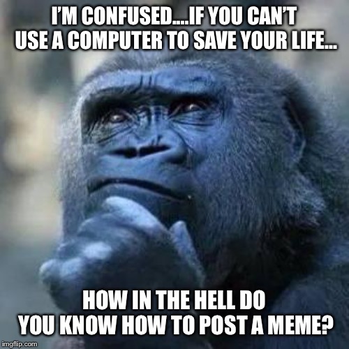 Question gorilla  | I’M CONFUSED....IF YOU CAN’T USE A COMPUTER TO SAVE YOUR LIFE... HOW IN THE HELL DO YOU KNOW HOW TO POST A MEME? | image tagged in question gorilla | made w/ Imgflip meme maker