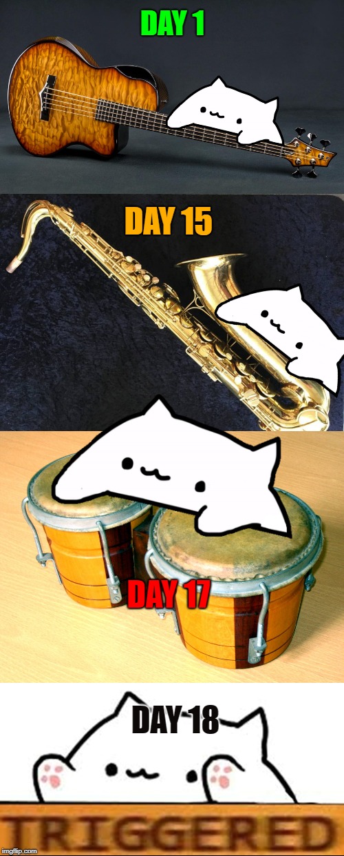 How most people learn music... | DAY 1; DAY 15; DAY 17; DAY 18 | image tagged in bongo cat,funny memes | made w/ Imgflip meme maker