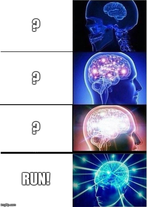 Expanding Brain Meme | ? ? ? RUN! | image tagged in memes,expanding brain | made w/ Imgflip meme maker