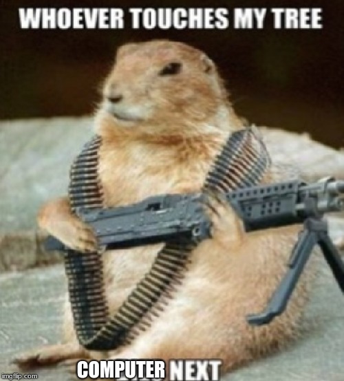 squirrel gun | COMPUTER | image tagged in squirrel gun | made w/ Imgflip meme maker