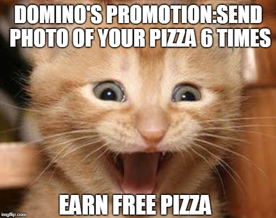 Excited Cat | DOMINO'S PROMOTION:SEND PHOTO OF YOUR PIZZA 6 TIMES; EARN FREE PIZZA | image tagged in memes,excited cat | made w/ Imgflip meme maker