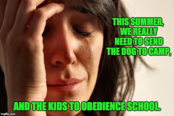 First World Problems | THIS SUMMER, WE REALLY NEED TO SEND THE DOG TO CAMP, AND THE KIDS TO OBEDIENCE SCHOOL. | image tagged in memes,first world problems | made w/ Imgflip meme maker