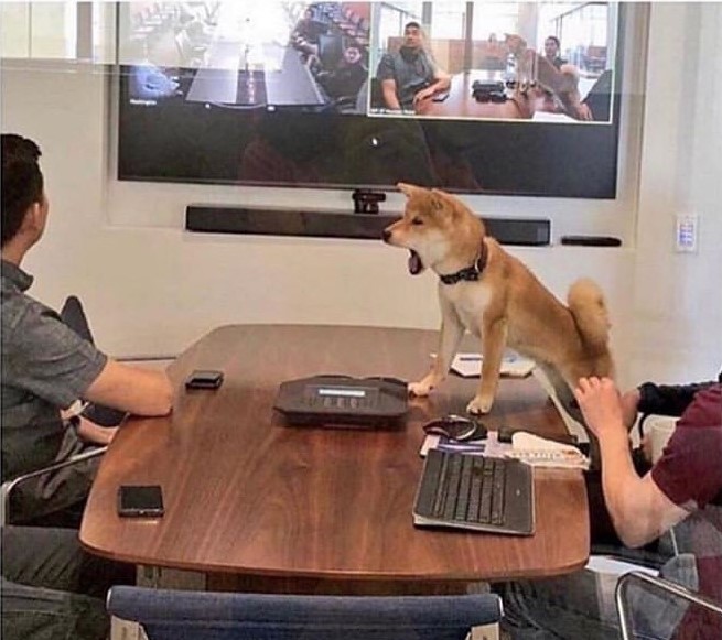 High Quality office dog Blank Meme Template