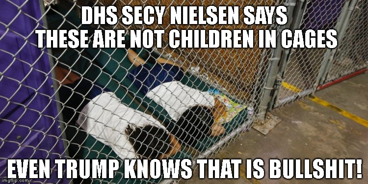 Metal-Reinforced Privacy Area? | DHS SECY NIELSEN SAYS THESE ARE NOT CHILDREN IN CAGES; EVEN TRUMP KNOWS THAT IS BULLSHIT! | image tagged in homeland security,liar,children in cages,crime against humanity,border security | made w/ Imgflip meme maker