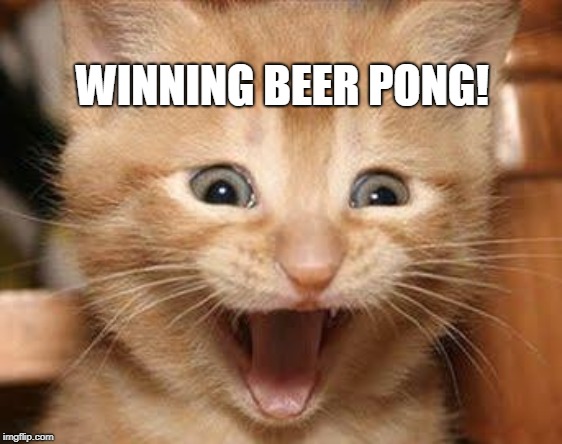 Excited Cat Meme | WINNING BEER PONG! | image tagged in memes,excited cat | made w/ Imgflip meme maker