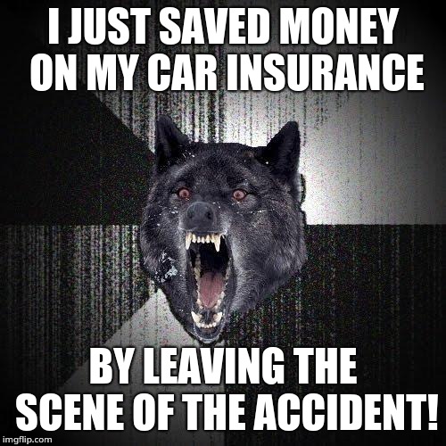 Insanity Wolf Meme | I JUST SAVED MONEY ON MY CAR INSURANCE; BY LEAVING THE SCENE OF THE ACCIDENT! | image tagged in memes,insanity wolf | made w/ Imgflip meme maker