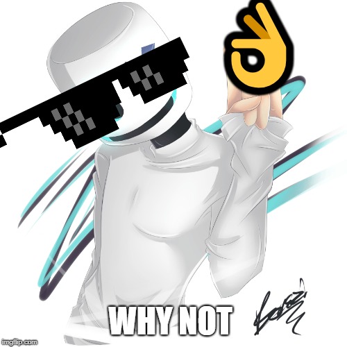 👌; WHY NOT | image tagged in why not | made w/ Imgflip meme maker