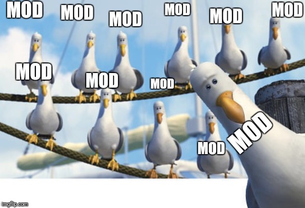 Finding Nemo Seagulls | MOD; MOD; MOD; MOD; MOD; MOD; MOD; MOD; MOD; MOD; MOD | image tagged in finding nemo seagulls | made w/ Imgflip meme maker