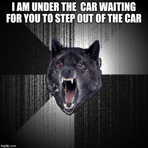 Insanity Wolf Meme | I AM UNDER THE  CAR WAITING FOR YOU TO STEP OUT OF THE CAR | image tagged in memes,insanity wolf | made w/ Imgflip meme maker