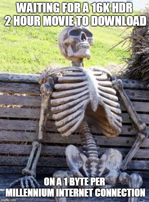 The Exponential Scale Of Bandwidth Requirements | WAITING FOR A 16K HDR 2 HOUR MOVIE TO DOWNLOAD; ON A 1 BYTE PER MILLENNIUM INTERNET CONNECTION | image tagged in memes,waiting skeleton,big download,slow internet,high quality,eternity | made w/ Imgflip meme maker