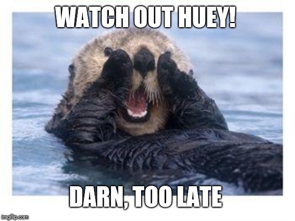 Excited Otter | WATCH OUT HUEY! DARN, TOO LATE | image tagged in excited otter | made w/ Imgflip meme maker