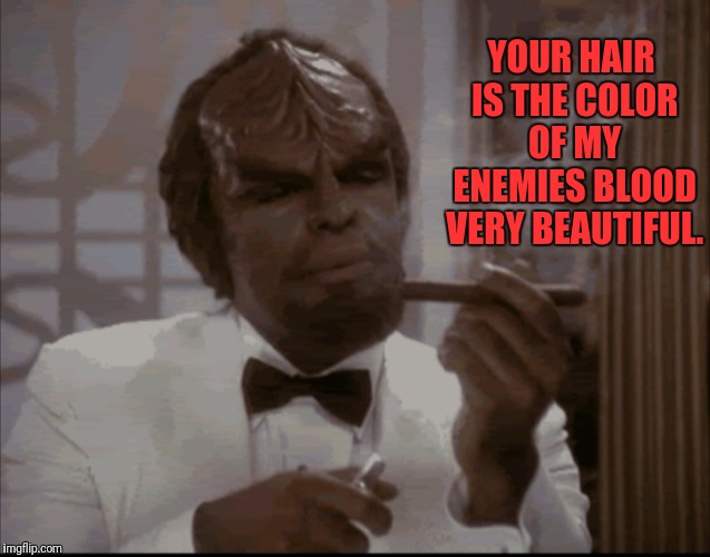 YOUR HAIR IS THE COLOR OF MY ENEMIES BLOOD VERY BEAUTIFUL. | made w/ Imgflip meme maker