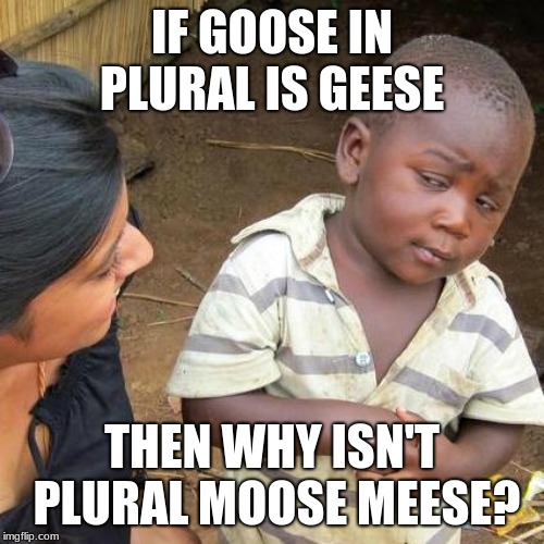 Third World Skeptical Kid Meme | IF GOOSE IN PLURAL IS GEESE; THEN WHY ISN'T PLURAL MOOSE MEESE? | image tagged in memes,third world skeptical kid | made w/ Imgflip meme maker