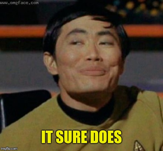 sulu | IT SURE DOES | image tagged in sulu | made w/ Imgflip meme maker