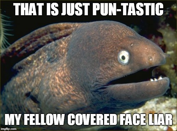 Bad Joke Eel Meme | THAT IS JUST PUN-TASTIC MY FELLOW COVERED FACE LIAR | image tagged in memes,bad joke eel | made w/ Imgflip meme maker