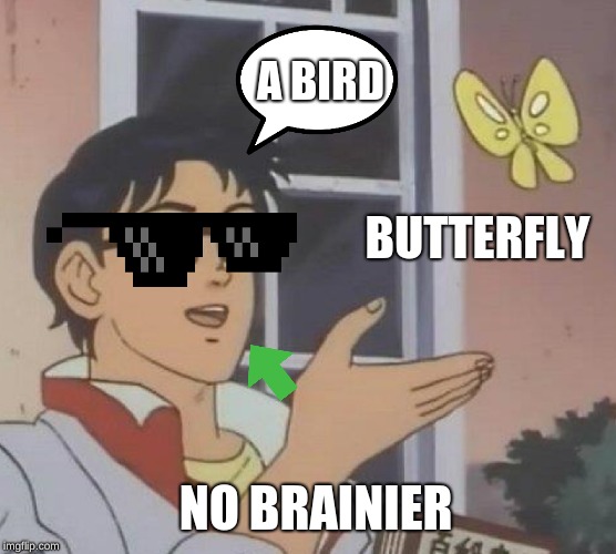 Is This A Pigeon |  A BIRD; BUTTERFLY; NO BRAINIER | image tagged in memes,is this a pigeon | made w/ Imgflip meme maker