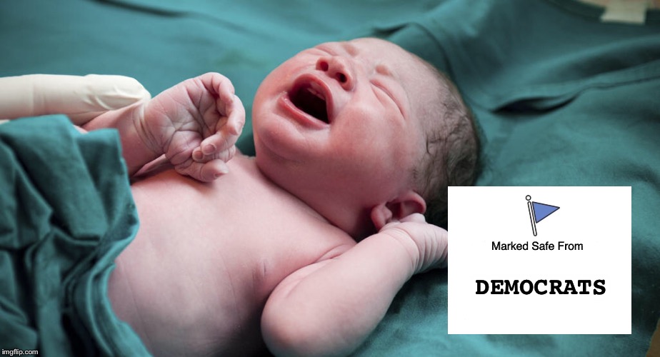 The miracle of birth | DEMOCRATS | image tagged in democrats,planned parenthood,baby,birth | made w/ Imgflip meme maker