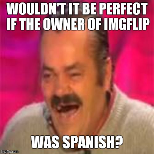 Spanish laughing man | WOULDN'T IT BE PERFECT IF THE OWNER OF IMGFLIP WAS SPANISH? | image tagged in spanish laughing man | made w/ Imgflip meme maker