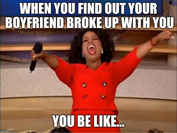 Oprah You Get A Meme | WHEN YOU FIND OUT YOUR BOYFRIEND BROKE UP WITH YOU; YOU BE LIKE... | image tagged in memes,oprah you get a | made w/ Imgflip meme maker