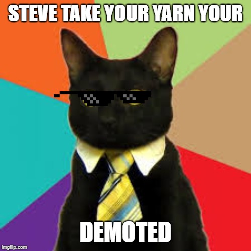 Buisness Cat  | STEVE TAKE YOUR YARN YOUR; DEMOTED | image tagged in buisness cat | made w/ Imgflip meme maker