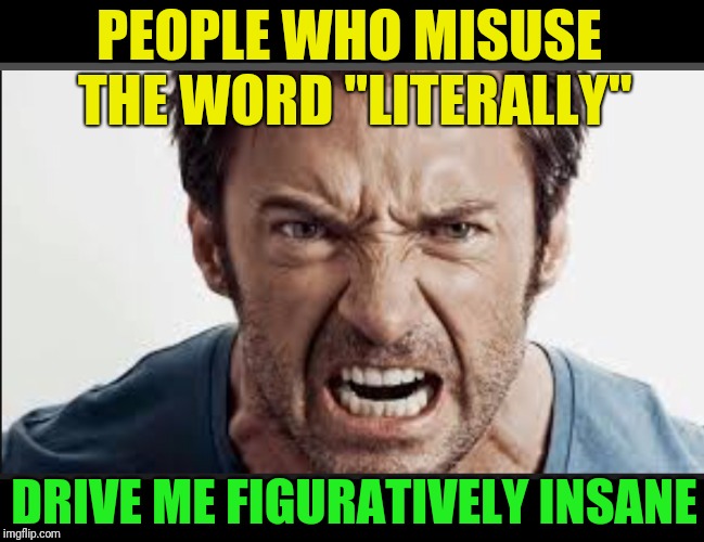 I try not to be a grammar nazi, but | PEOPLE WHO MISUSE THE WORD "LITERALLY"; DRIVE ME FIGURATIVELY INSANE | image tagged in angry man,literally,figurative,insane | made w/ Imgflip meme maker