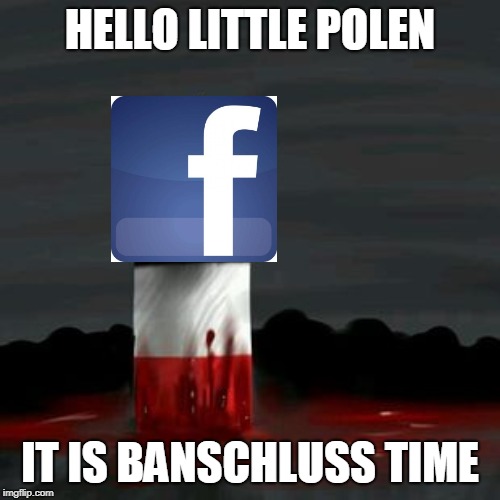 BANSCHLUSS TIME | HELLO LITTLE POLEN; IT IS BANSCHLUSS TIME | image tagged in polandball,facebook | made w/ Imgflip meme maker