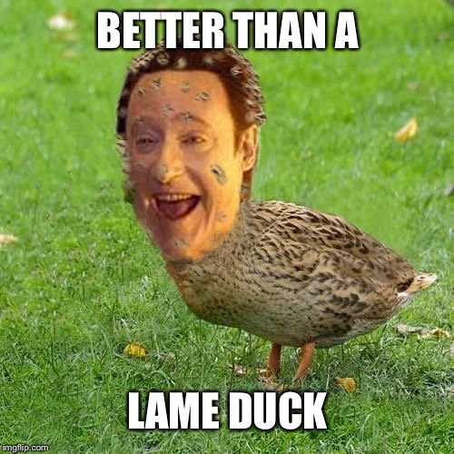 The Data Ducky | BETTER THAN A; LAME DUCK | image tagged in the data ducky | made w/ Imgflip meme maker