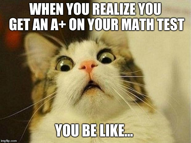 Scared Cat Meme | WHEN YOU REALIZE YOU GET AN A+ ON YOUR MATH TEST; YOU BE LIKE... | image tagged in memes,scared cat | made w/ Imgflip meme maker