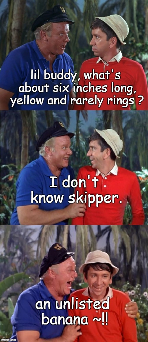 riddle me thus she said.here a pun there a pun.before memes that is, hay skipper !!!!!! | lil buddy, what's about six inches long, yellow and rarely rings ? I don't know skipper. an unlisted banana ~!! | image tagged in gilligan bad pun,old groaners,memes,banana phone | made w/ Imgflip meme maker