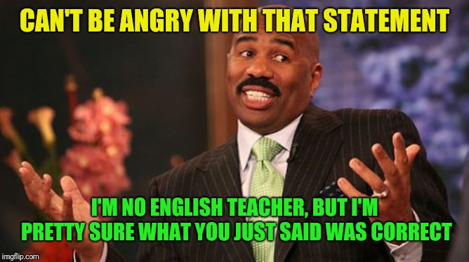 Steve Harvey Meme | CAN'T BE ANGRY WITH THAT STATEMENT I'M NO ENGLISH TEACHER, BUT I'M PRETTY SURE WHAT YOU JUST SAID WAS CORRECT | image tagged in memes,steve harvey | made w/ Imgflip meme maker