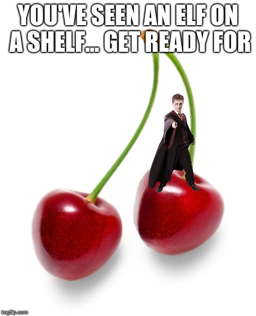 Cherry | YOU'VE SEEN AN ELF ON A SHELF... GET READY FOR | image tagged in cherry | made w/ Imgflip meme maker