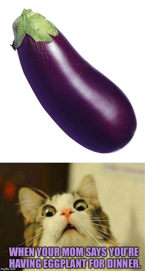 WHEN YOUR MOM SAYS YOU’RE HAVING EGGPLANT FOR DINNER. | image tagged in memes,scared cat,motivational eggplant | made w/ Imgflip meme maker