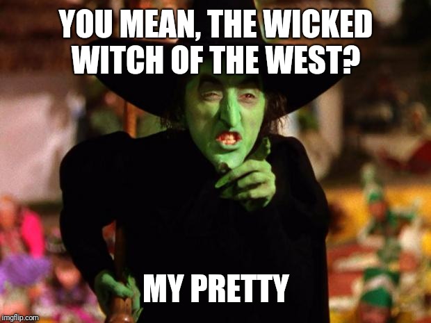 wicked witch  | YOU MEAN, THE WICKED WITCH OF THE WEST? MY PRETTY | image tagged in wicked witch | made w/ Imgflip meme maker