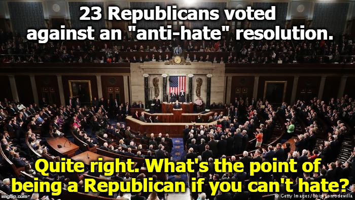 23 Republicans voted against an "anti-hate" resolution. Quite right. What's the point of being a Republican if you can't hate? | image tagged in republican,hate,congress | made w/ Imgflip meme maker