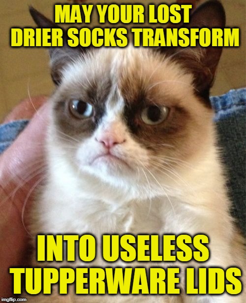 Grumpy Cat Meme | MAY YOUR LOST DRIER SOCKS TRANSFORM; INTO USELESS TUPPERWARE LIDS | image tagged in memes,grumpy cat | made w/ Imgflip meme maker