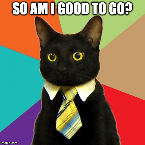 Business Cat Meme | SO AM I GOOD TO GO? | image tagged in memes,business cat | made w/ Imgflip meme maker