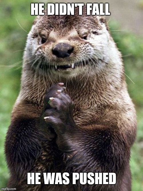 Evil Otter Meme | HE DIDN'T FALL HE WAS PUSHED | image tagged in memes,evil otter | made w/ Imgflip meme maker