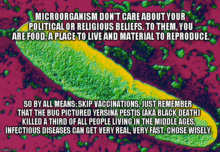 2 Vaxx or not 2 vaxx | MICROORGANISM DON'T CARE ABOUT YOUR POLITICAL OR RELIGIOUS BELIEFS. TO THEM, YOU ARE FOOD, A PLACE TO LIVE AND MATERIAL TO REPRODUCE. SO BY ALL MEANS: SKIP VACCINATIONS. JUST REMEMBER THAT THE BUG PICTURED YERSINA PESTIS (AKA BLACK DEATH) KILLED A THIRD OF ALL PEOPLE LIVING IN THE MIDDLE AGES. INFECTIOUS DISEASES CAN GET VERY REAL, VERY FAST. CHOSE WISELY. | image tagged in vaccination,disease | made w/ Imgflip meme maker